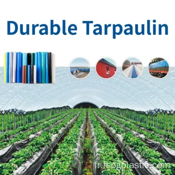 Geomembrane tissé pour l&#39;aquiculture